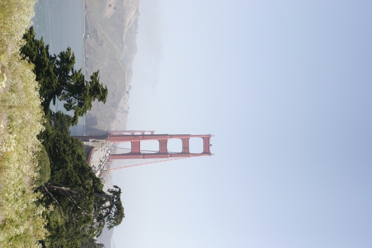 Click to Close